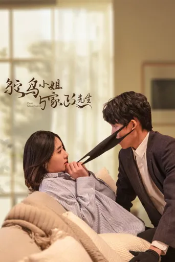 鸵鸟小姐与家政先生海报