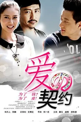 爱的契约海报