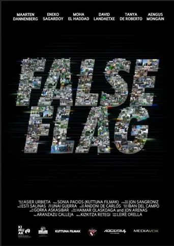 False Flag海报