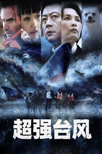 超强台风海报