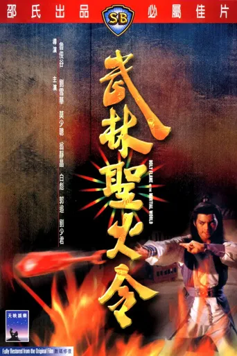 武林圣火令海报