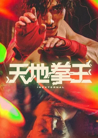 天地拳王海报