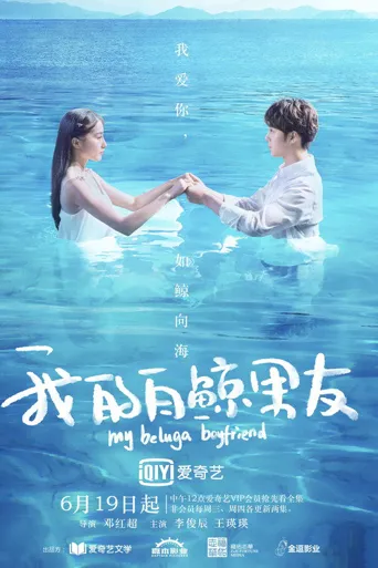 我的白鲸男友海报
