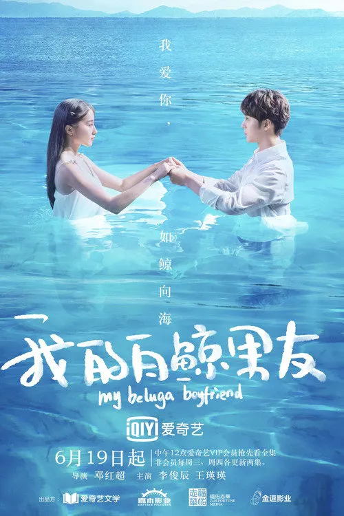 我的白鲸男友海报