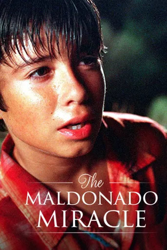 The Maldonado Miracle海报