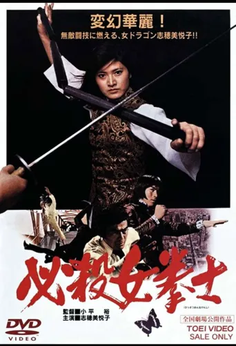 必杀女拳士海报
