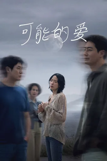 可能的爱海报