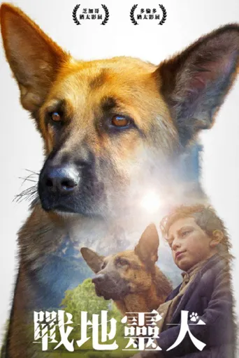战地灵犬海报