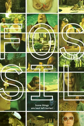 Fossil海报