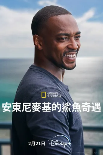 安东尼·麦凯的鲨滩海报
