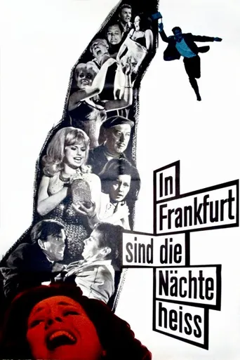 Playgirls of Frankfurt海报