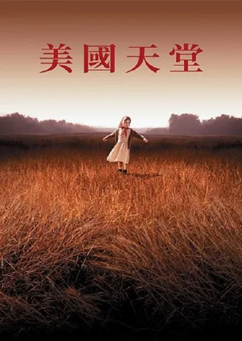 美国狂想曲海报