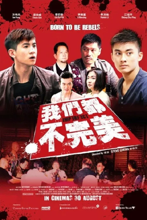我们都不完美海报