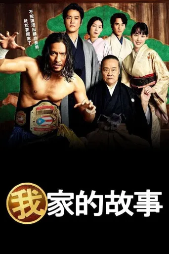 我家的故事海报