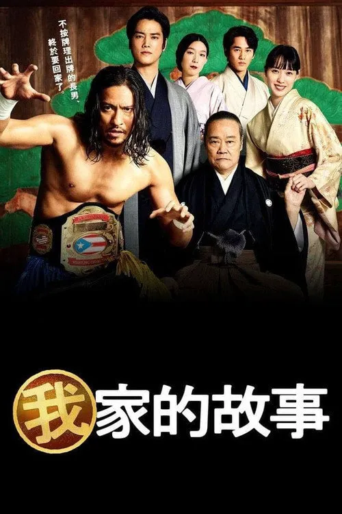 我家的故事海报