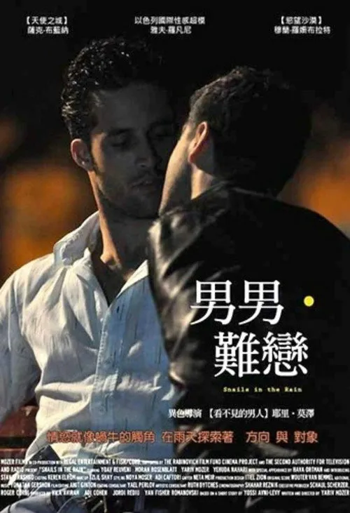 雨中的蜗牛海报
