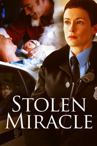 Stolen Miracle海报