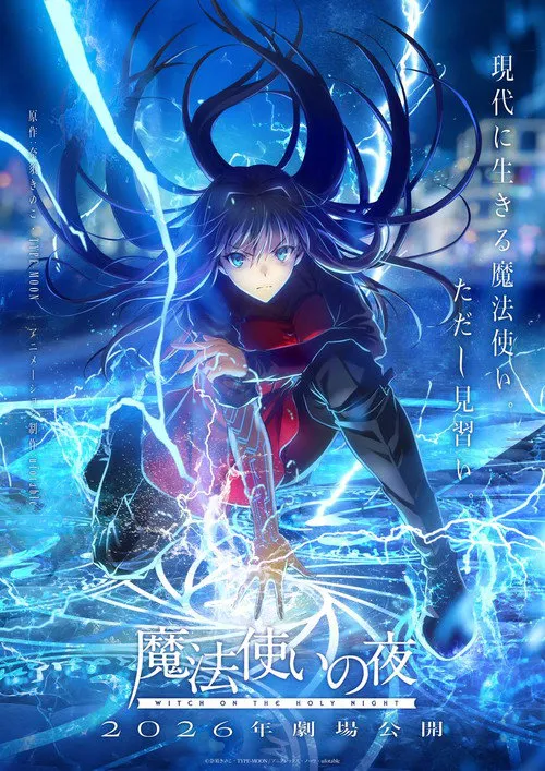 魔法使之夜海报
