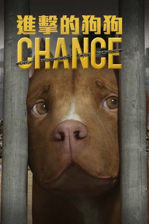 Chance海报