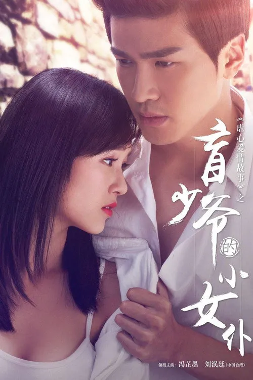 盲少爷的小女仆海报