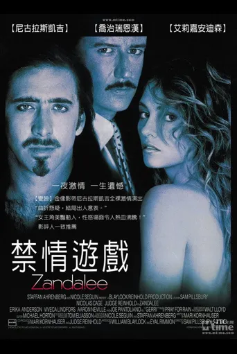 情挑野玫瑰海报