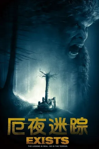 灵异存在海报