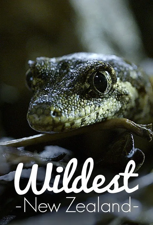 Wildest New Zealand 第 1 季海报
