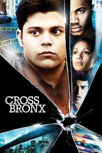 Cross Bronx海报