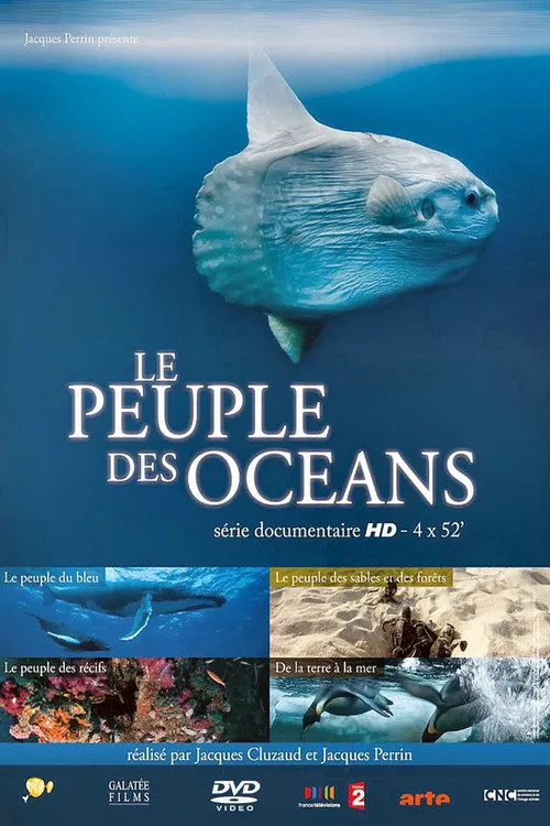 海洋王国海报