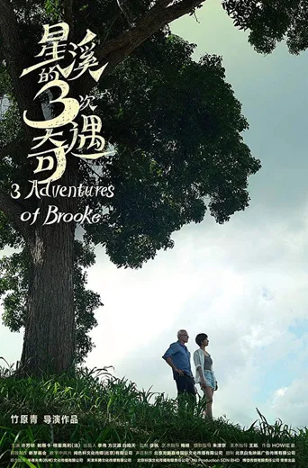 星溪的3次奇遇海报