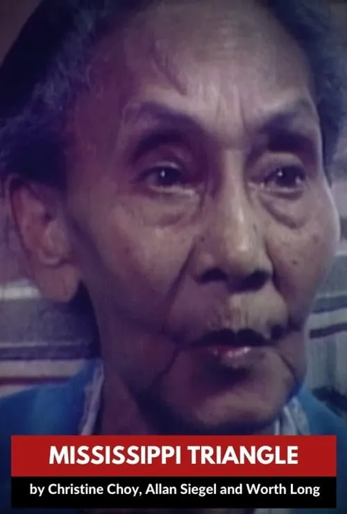 密西西比的白人,黑人和华人海报