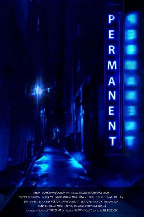 Permanent海报