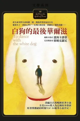 共舞人生路海报