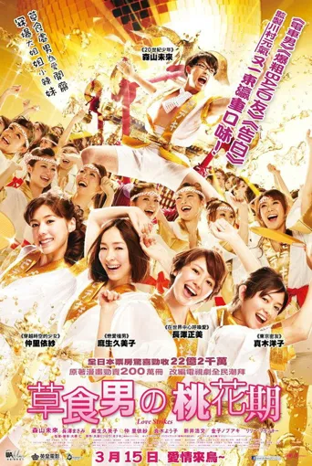 桃花期海报