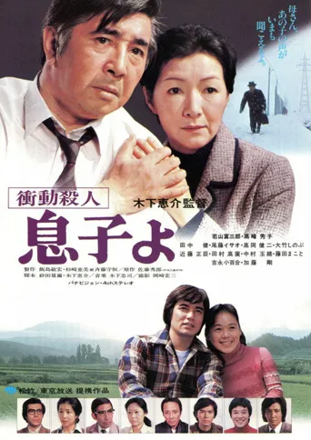 冲动杀人 儿子呵！海报