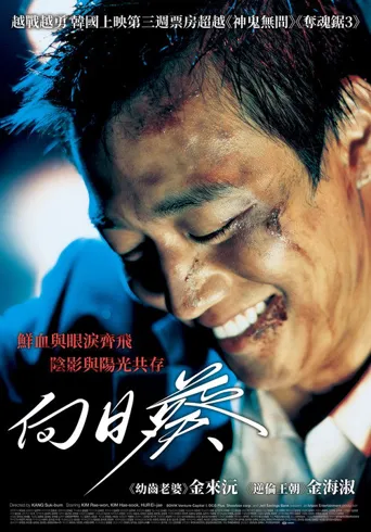 向日葵海报