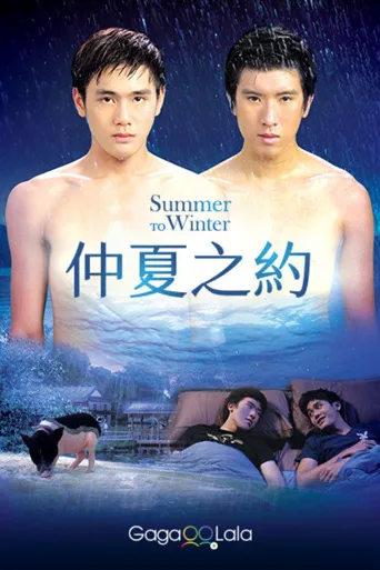 仲夏之约海报