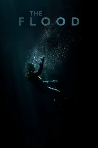 洪水海报