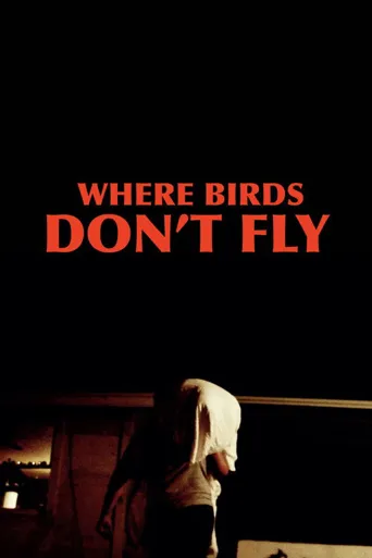 Where Birds Don't Fly海报