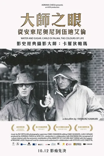 水与糖：摄影家卡洛·迪·帕尔马的生活与色彩海报