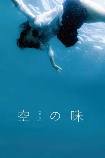 空之味海报