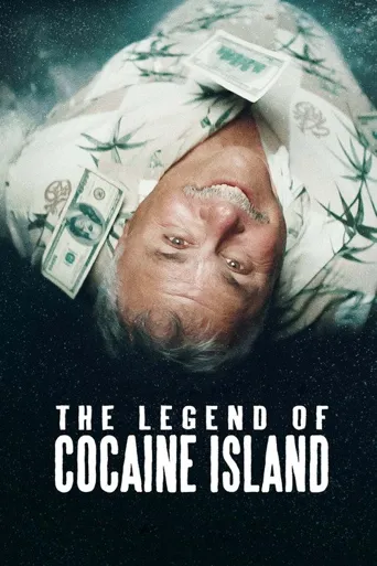 可卡因岛的传说海报