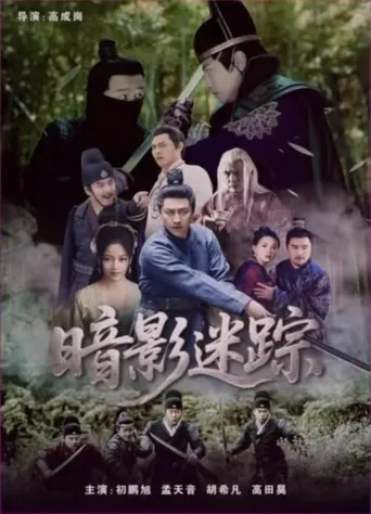 暗影迷踪海报