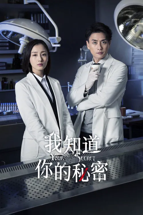 我知道你的秘密海报