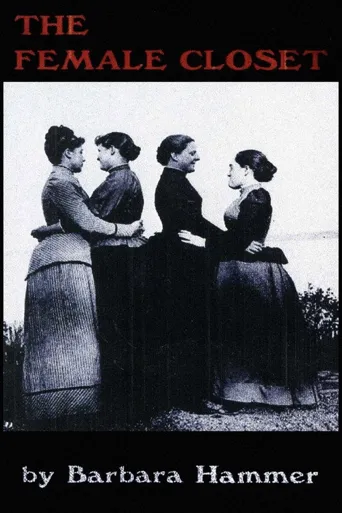 柜中女人海报