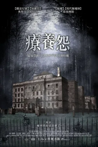 疗养怨海报