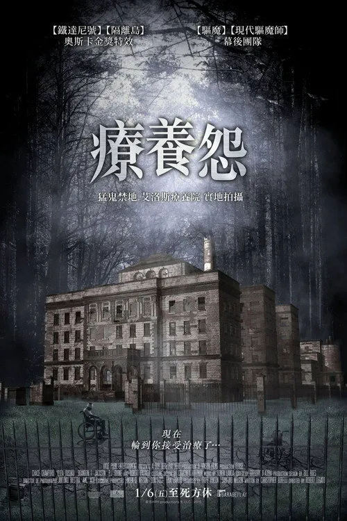 疗养怨海报