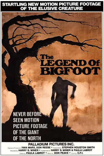 The Legend of Bigfoot海报