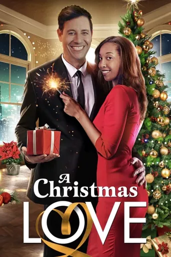 A Christmas Love海报