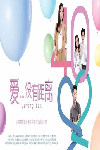 爱...没有距离海报